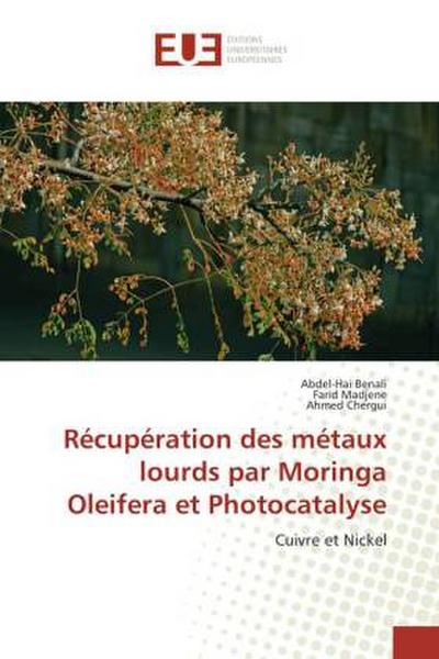 Récupération des métaux lourds par Moringa Oleifera et Photocatalyse