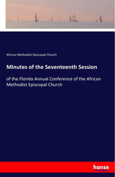 Minutes of the Seventeenth Session