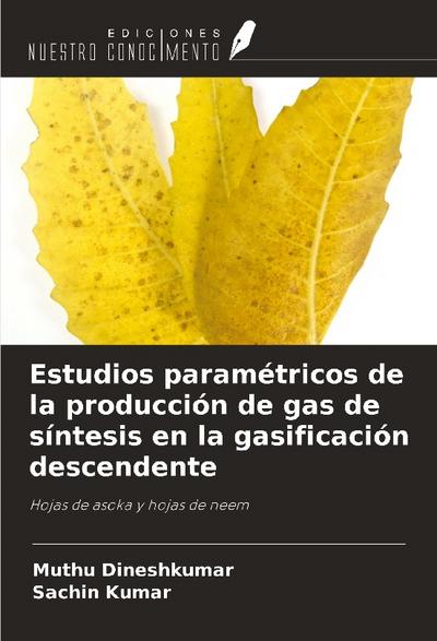 Estudios paramétricos de la producción de gas de síntesis en la gasificación descendente