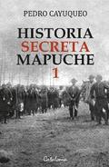 Historia secreta mapuche 1