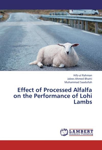 Effect of Processed Alfalfa on the Performance of Lohi Lambs