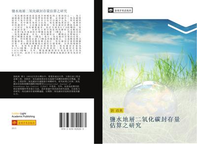 yan shui di ceng er yang hua tan feng cun liang gu suan zhi yan jiu