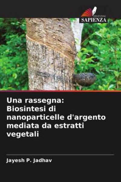 Una rassegna: Biosintesi di nanoparticelle d’argento mediata da estratti vegetali
