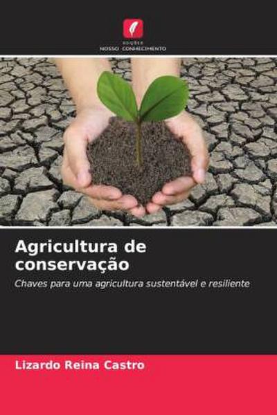 Agricultura de conservação