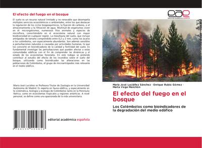 El efecto del fuego en el bosque