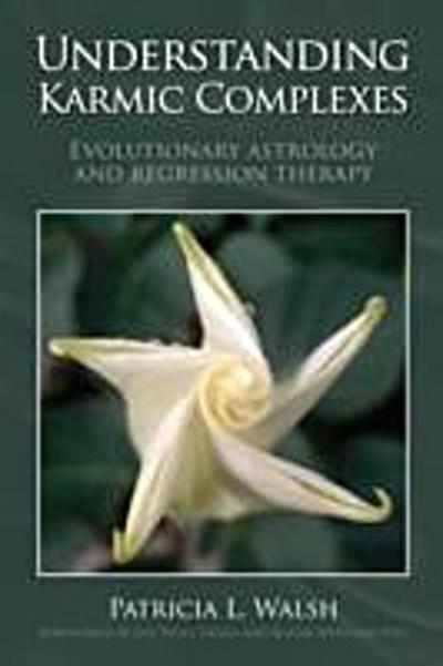 Understanding Karmic Complexes