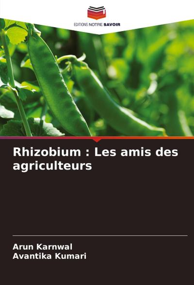 Rhizobium : Les amis des agriculteurs