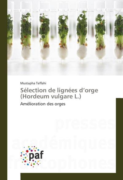 Sélection de lignées d¿orge (Hordeum vulgare L.)