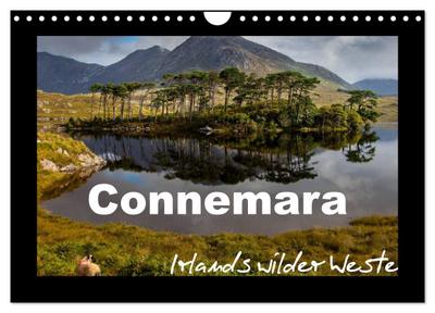 Connemara - Irlands wilder Westen (Wandkalender 2026 DIN A4 quer), CALVENDO Monatskalender