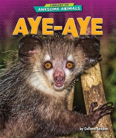 Aye-Aye