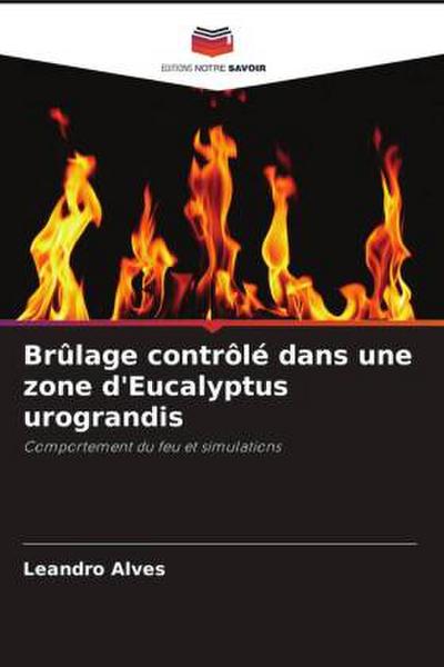 Brûlage contrôlé dans une zone d’Eucalyptus urograndis