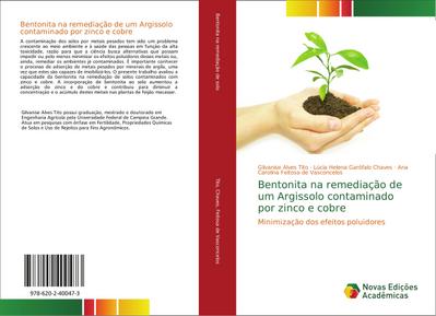 Bentonita na remediação de um Argissolo contaminado por zinco e cobre