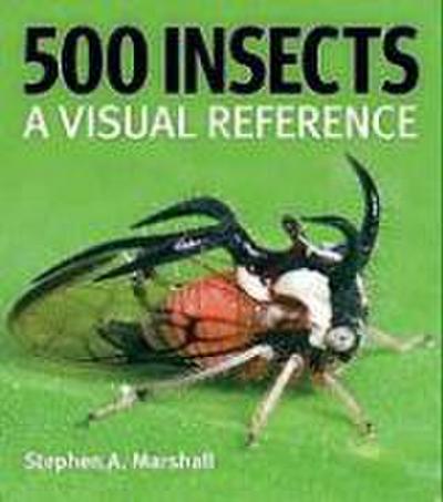 Marshall, S: 500 Insects