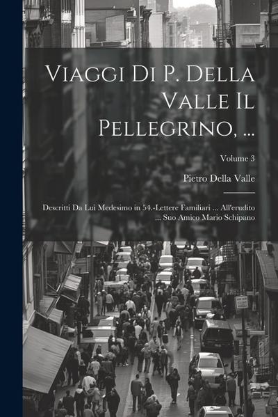 Viaggi Di P. Della Valle Il Pellegrino, ...: Descritti Da Lui Medesimo in 54.-Lettere Familiari ... All’erudito ... Suo Amico Mario Schipano; Volume 3