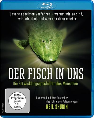 Der Fisch in uns - Die Entwicklungsgeschichte des Menschen