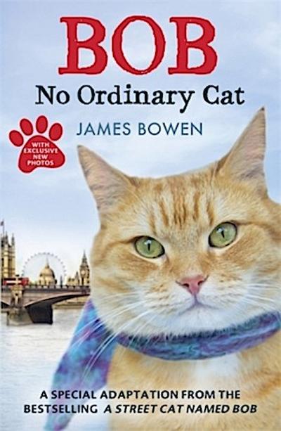Bob - No Ordinary Cat