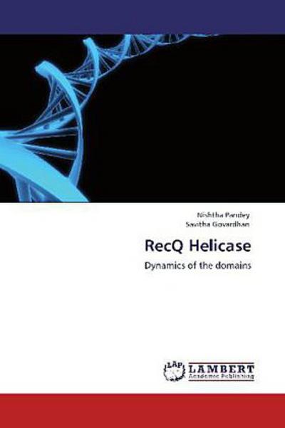RecQ Helicase