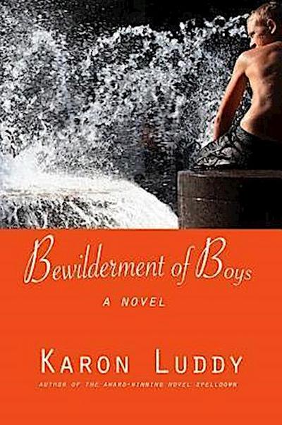 Luddy, K: Bewilderment of Boys