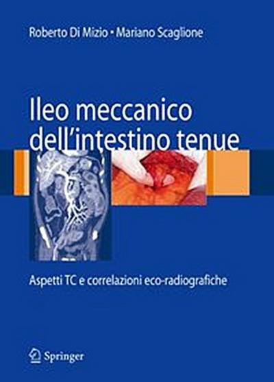 Ileo meccanico dell’intestino tenue