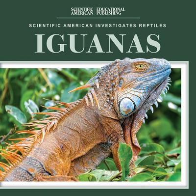 Iguanas