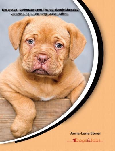 Die ersten 12 Monate eines Therapiebegleithundes