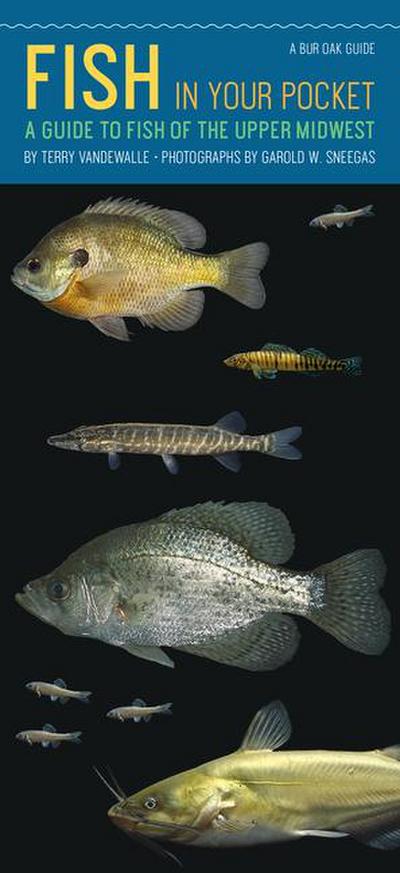 Fish in Your Pocket: A Guide to Fish of the Upper Midwest