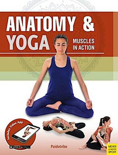Anatomy & Yoga