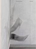 Dominik Lejman. Presence