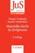 Materielles Recht im Zivilprozess