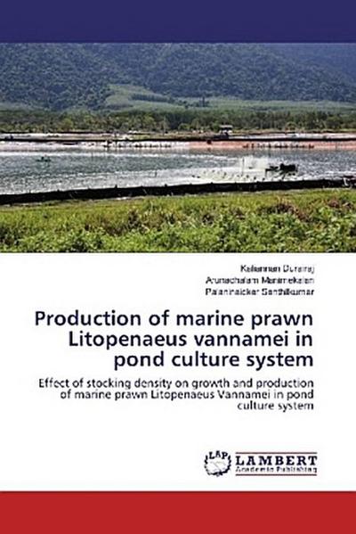 Production of marine prawn Litopenaeus vannamei in pond culture system