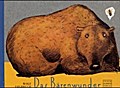 Das Bärenwunder