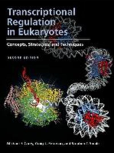 Transcriptional Regulation in Eukaryotes: Concepts, Strategies, and Techniques