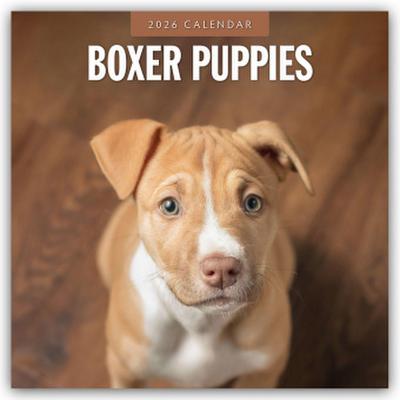 Boxer Puppies - Deutsche Boxer Welpen 2026 - 16-Monatskalender