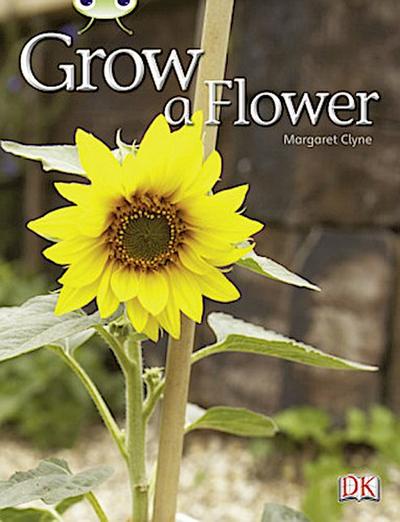 Bug Club Independent Non Fiction Reception Red C Grow a Flower