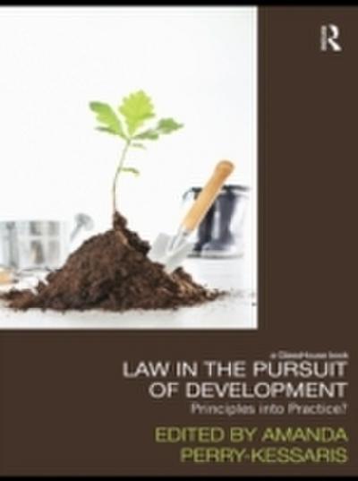Law in the Pursuit of Development