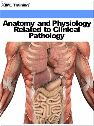 Anatomy and Physiology Related to Clinical Pathology (Human Body)