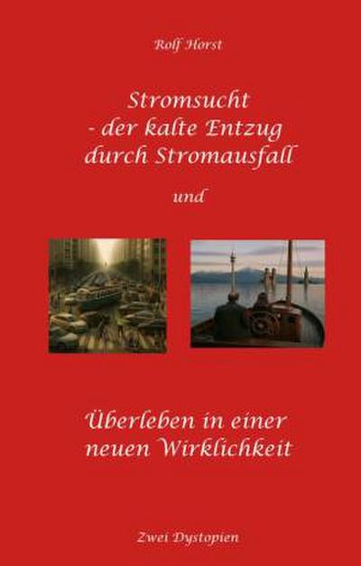 Stromsucht - der kalte Entzug durch Stromausfall und Überleben in einer neuen Wirklichkeit: Weltweite Flutkatastrophe, Klimawandel, Meteoriteneinschlag, Permakultur, Autismus, versunkene Städte