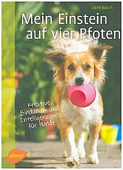 Mein Einstein auf vier Pfoten