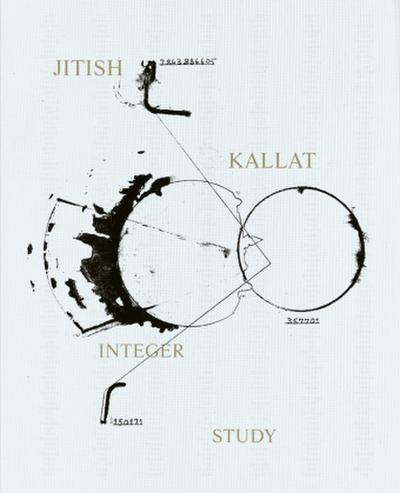 Jitish Kallat. Integer Study
