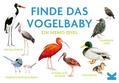Finde das Vogelbaby