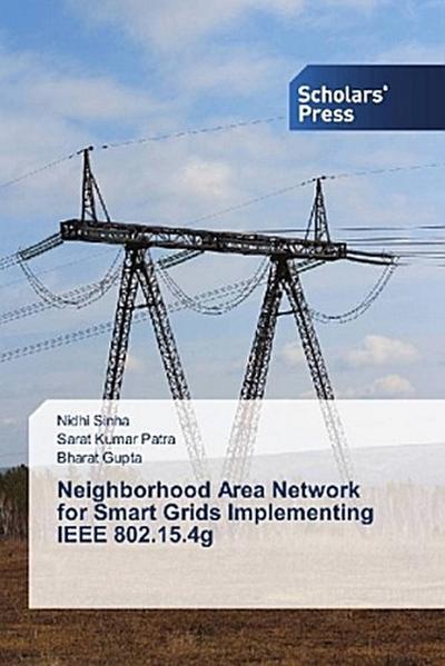 Neighborhood Area Network for Smart Grids Implementing IEEE 802.15.4g