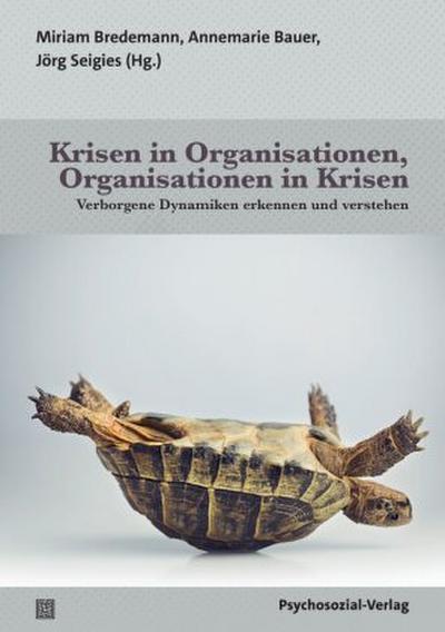 Krisen in Organisationen, Organisationen in Krisen