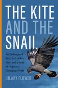 The Kite and the Snail