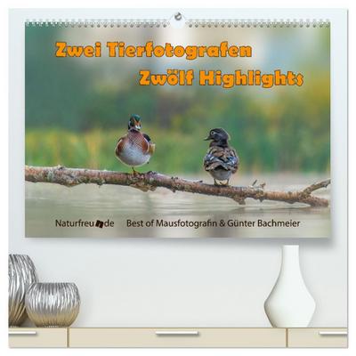 Zwei Tierfotografen Zwölf Highlights (hochwertiger Premium Wandkalender 2025 DIN A2 quer), Kunstdruck in Hochglanz