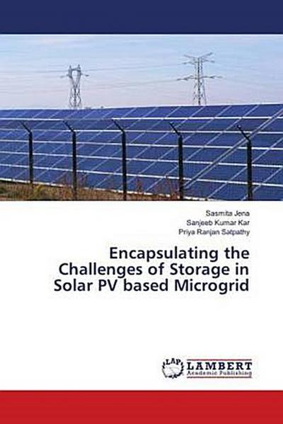 Encapsulating the Challenges of Storage in Solar PV based Microgrid