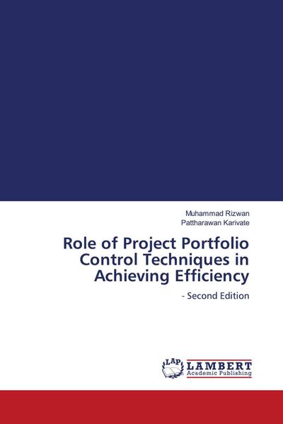 Role of Project Portfolio Control Techniques in Achieving Efficiency