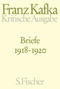 Briefe 1918-1920: Band 4