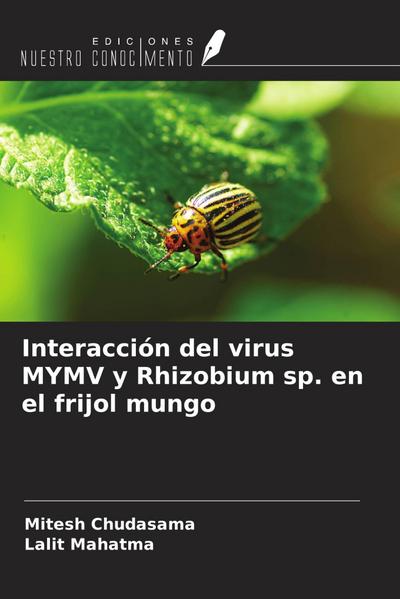 Interacción del virus MYMV y Rhizobium sp. en el frijol mungo