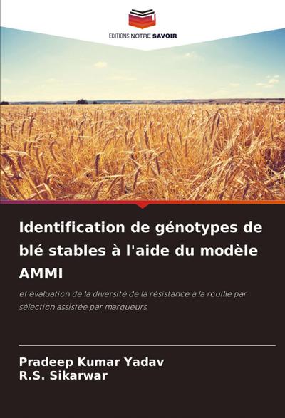 Identification de génotypes de blé stables à l’aide du modèle AMMI