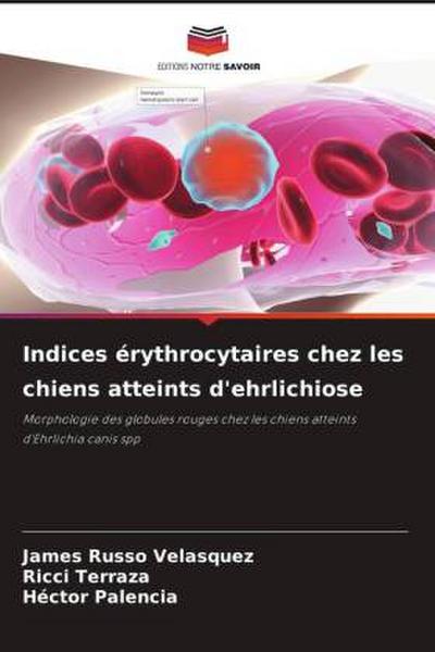 Indices érythrocytaires chez les chiens atteints d’ehrlichiose